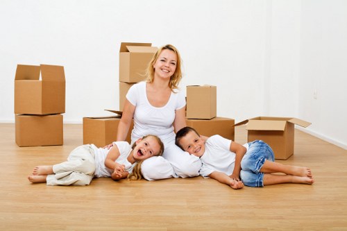 Removal helper carrying boxes for a flat move in Southlondon